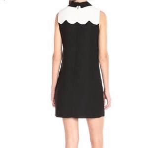 CeCe Dresses - CeCe • Scalloped Collared Shift Dress CeCe Dresses - CeCe • Scalloped Collared Shift Dress